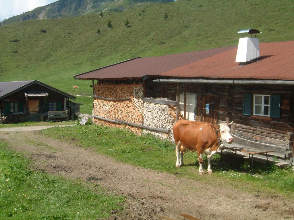 Apartmán Haus Brugglbach Kirchberg in Tirol Exteriér fotografie