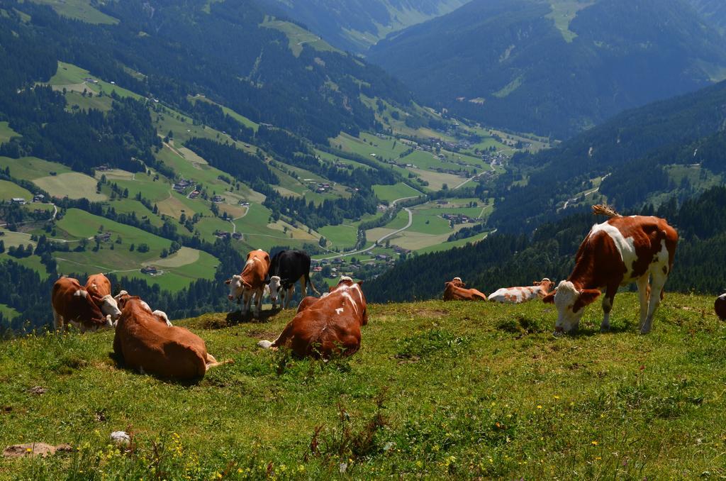 Apartmán Haus Brugglbach Kirchberg in Tirol Exteriér fotografie