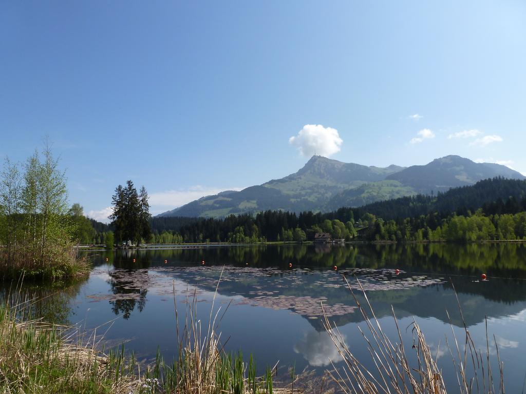 Apartmán Haus Brugglbach Kirchberg in Tirol Exteriér fotografie