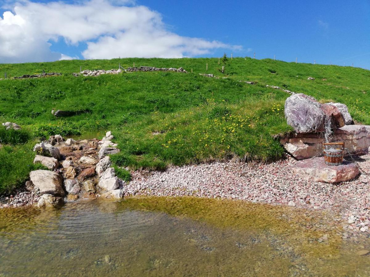 Apartmán Haus Brugglbach Kirchberg in Tirol Exteriér fotografie